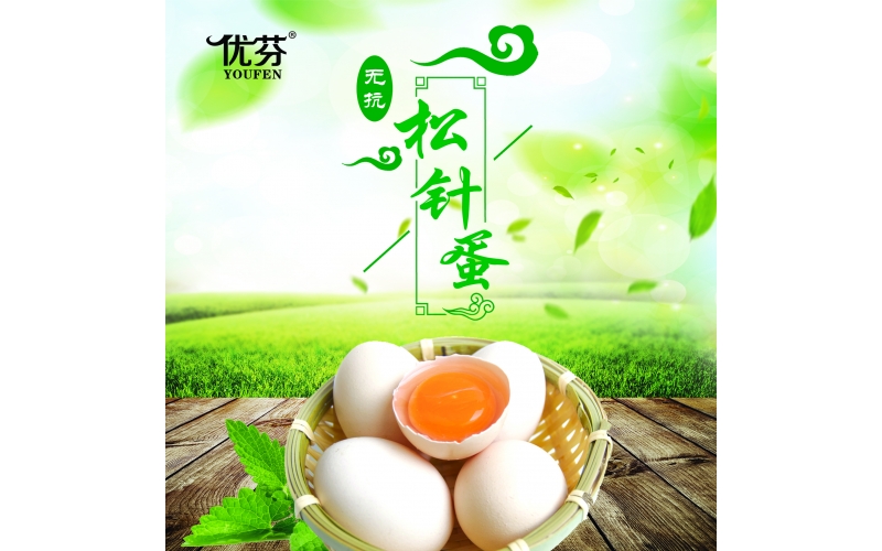 無抗養(yǎng)殖松針雞蛋